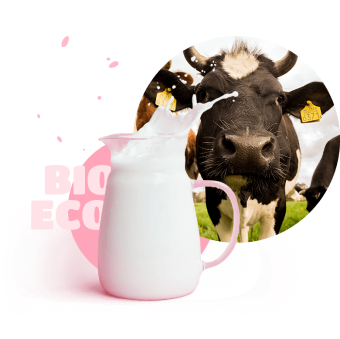 cow and cup of milk